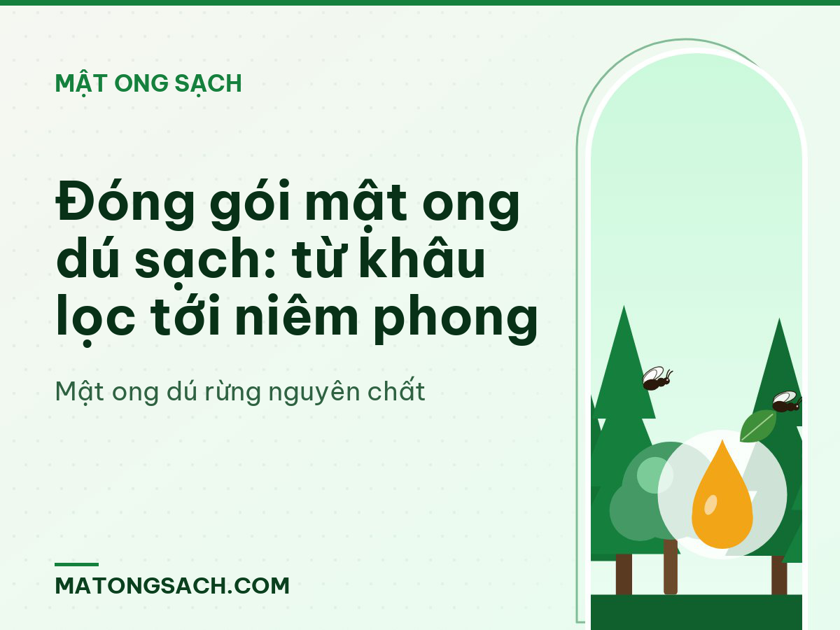 Đóng gói mật ong dú sạch: từ khâu lọc tới niêm phong