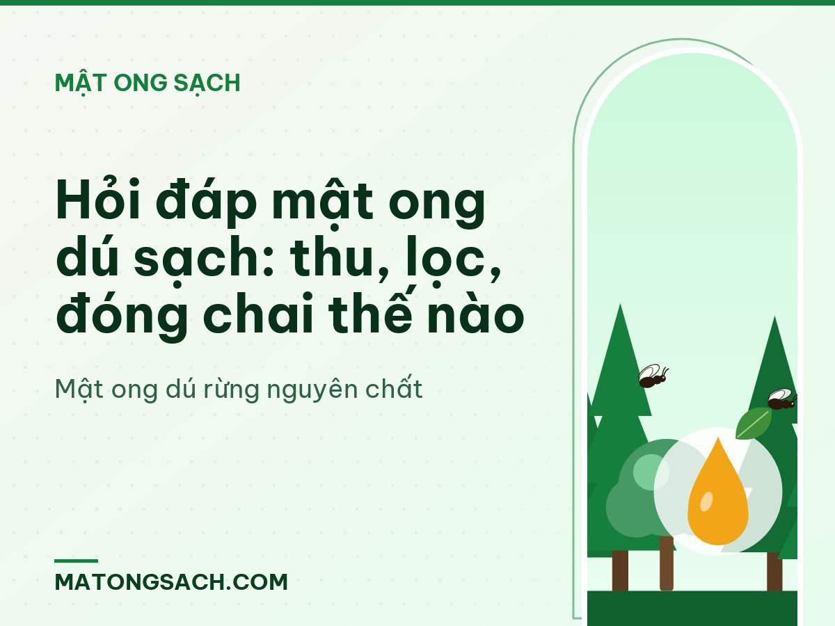 Hỏi đáp mật ong dú sạch: thu, lọc, đóng chai thế nào