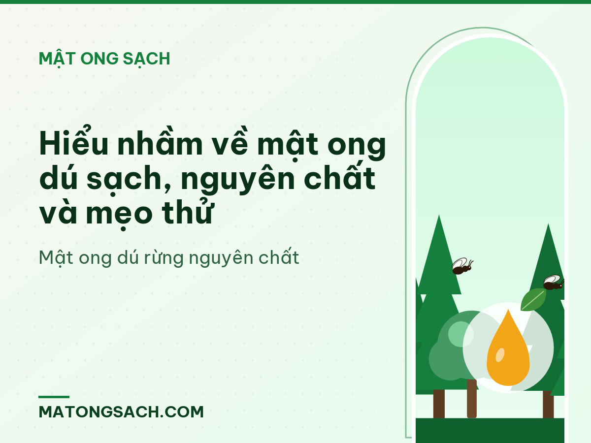 Hiểu nhầm về mật ong dú sạch, nguyên chất và mẹo thử
