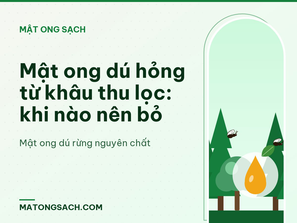 Mật ong dú hỏng từ khâu thu lọc: khi nào nên bỏ