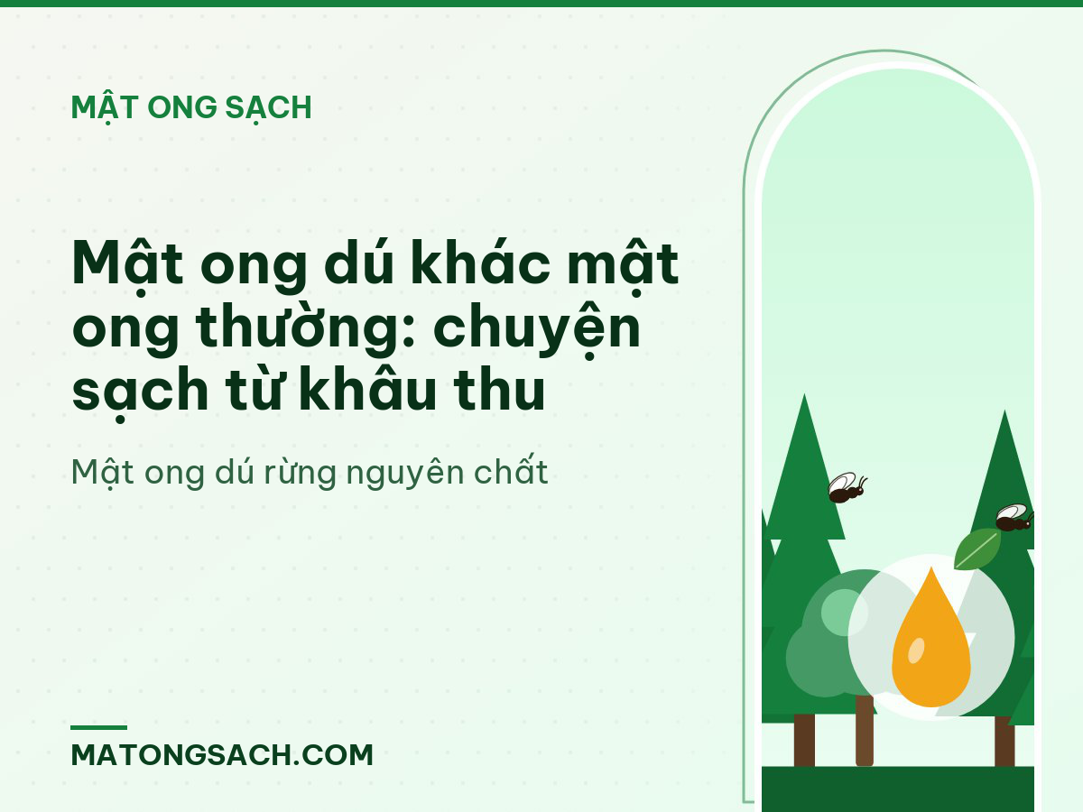 Mật ong dú khác mật ong thường: chuyện sạch từ khâu thu