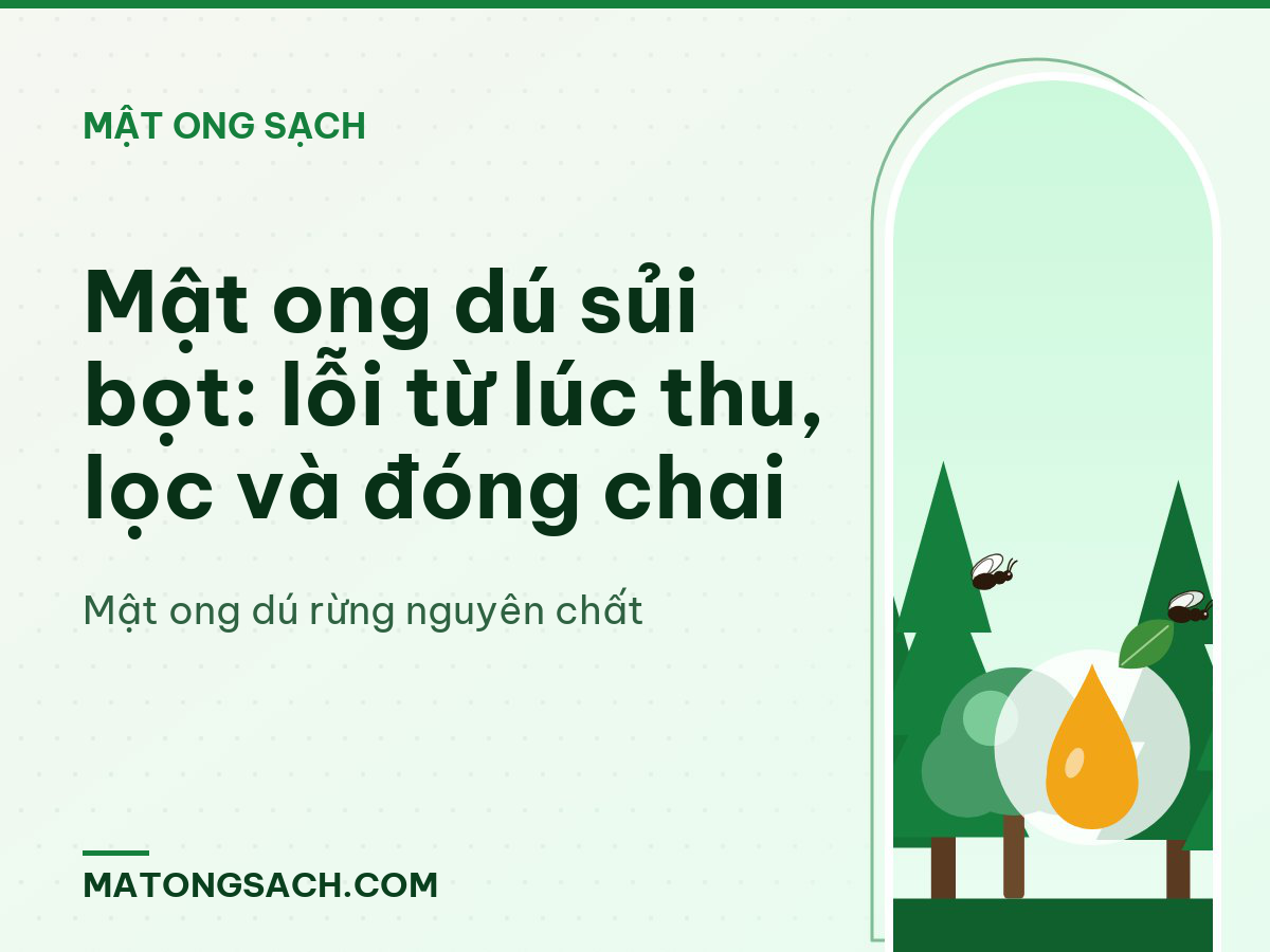 Mật ong dú sủi bọt: lỗi từ lúc thu, lọc và đóng chai