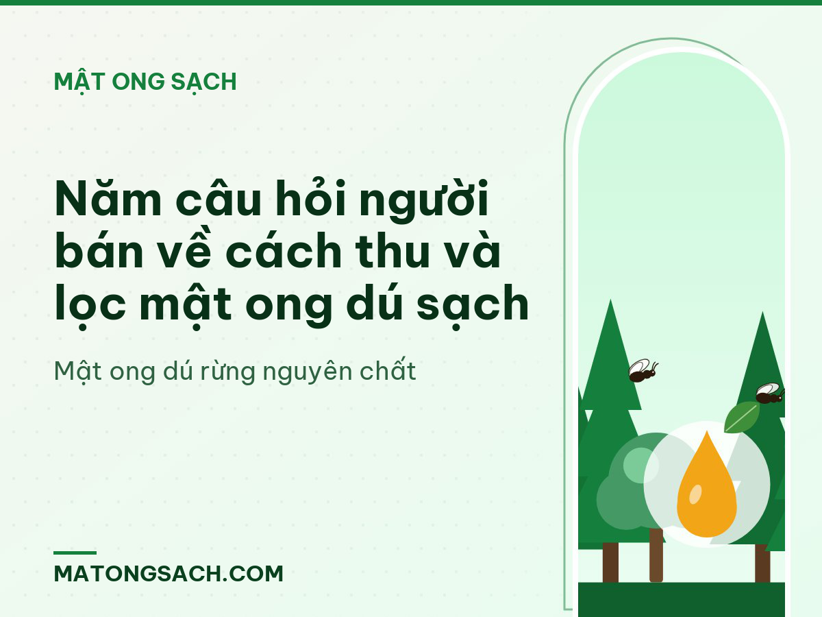 Năm câu hỏi người bán về cách thu và lọc mật ong dú sạch