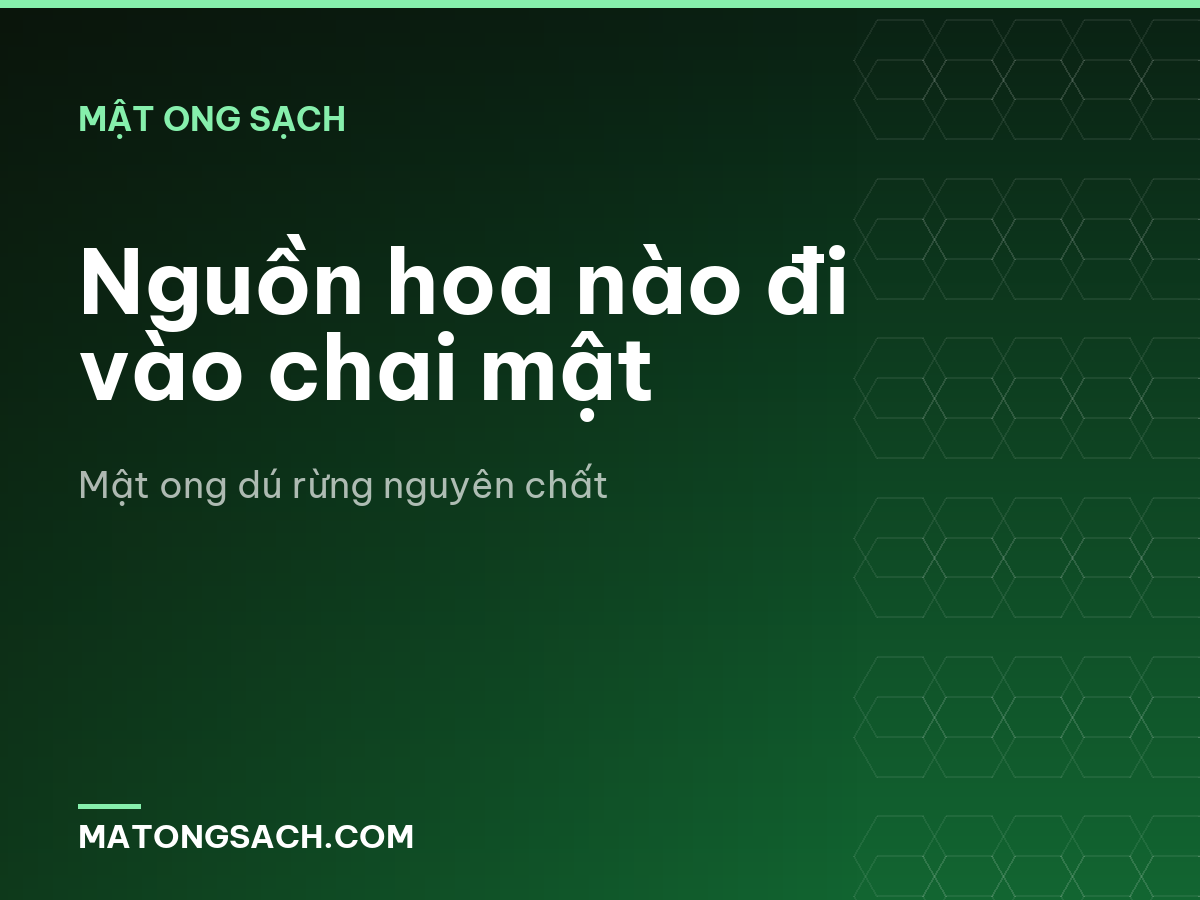 Nguồn hoa nào đi vào chai mật