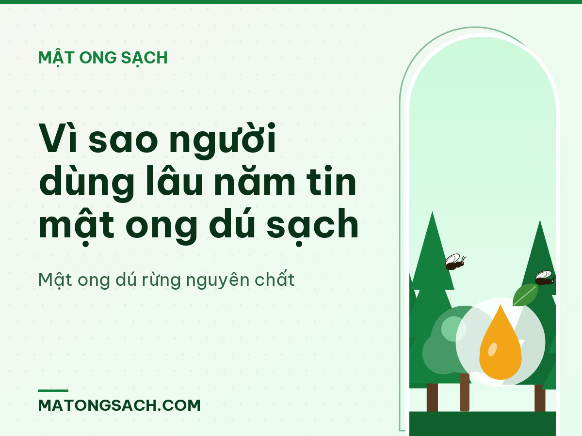 Vì sao người dùng lâu năm tin mật ong dú sạch