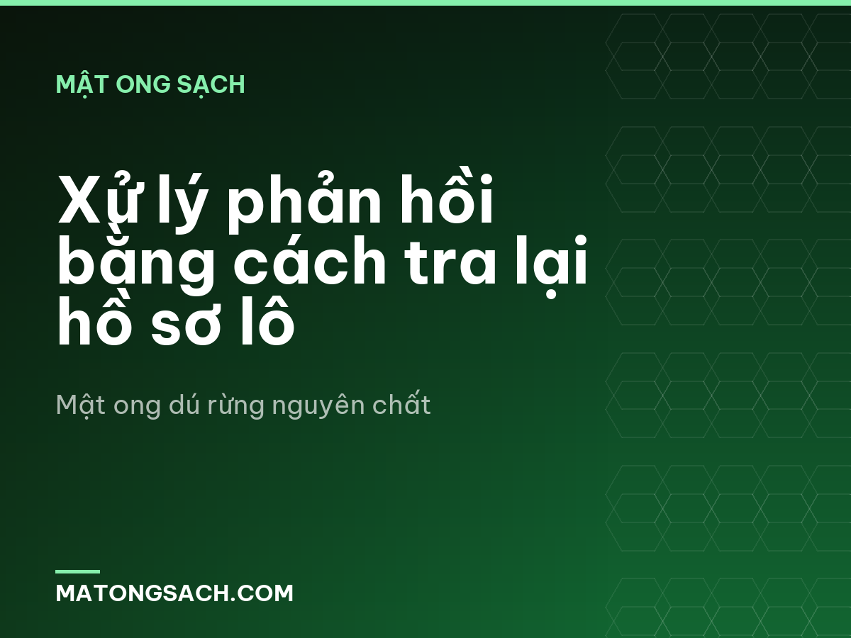 Xử lý phản hồi bằng cách tra lại hồ sơ lô